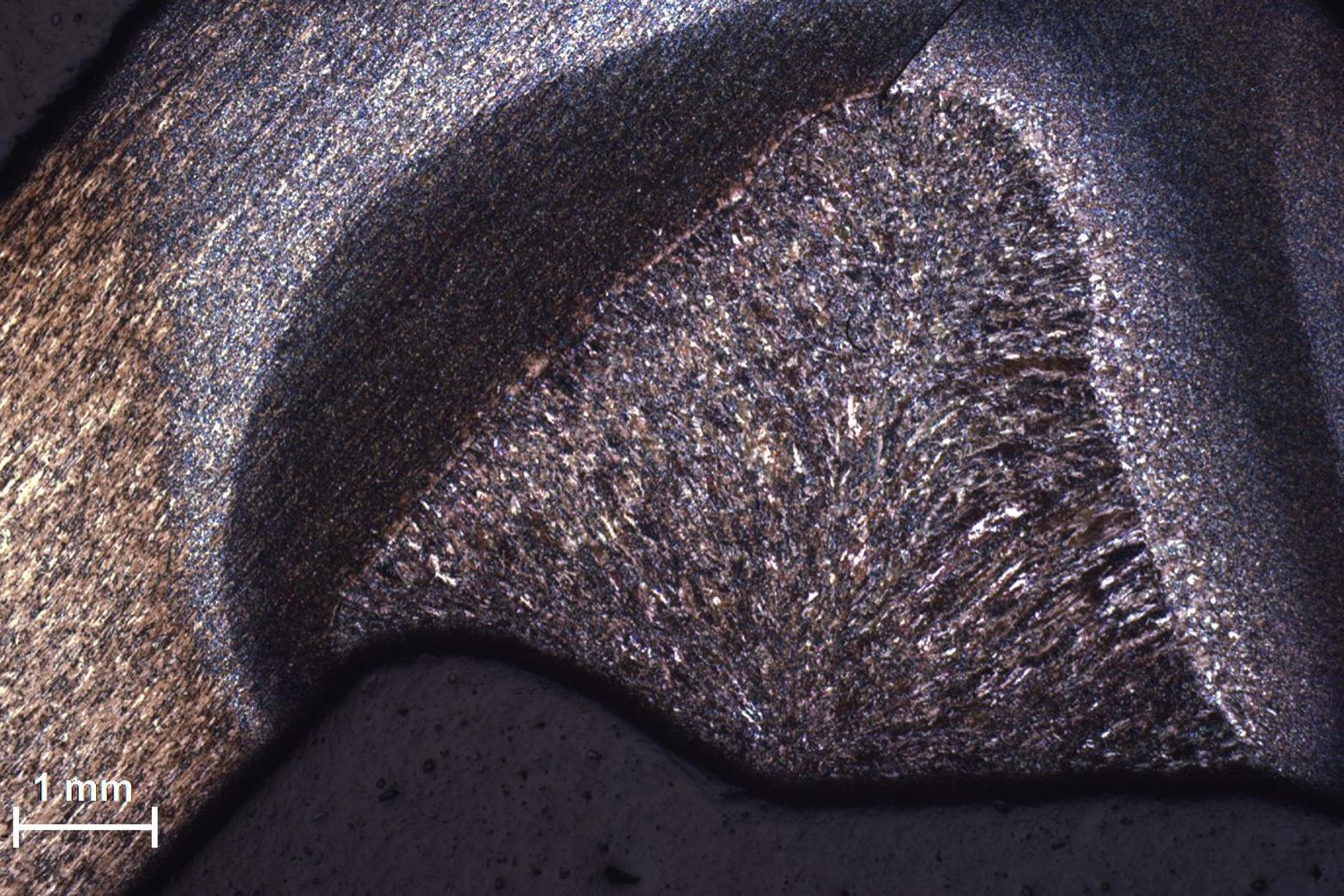 COAXIAL BRIGHTFIELD WELD CUT Smartzoom 5 ของ ZEISS